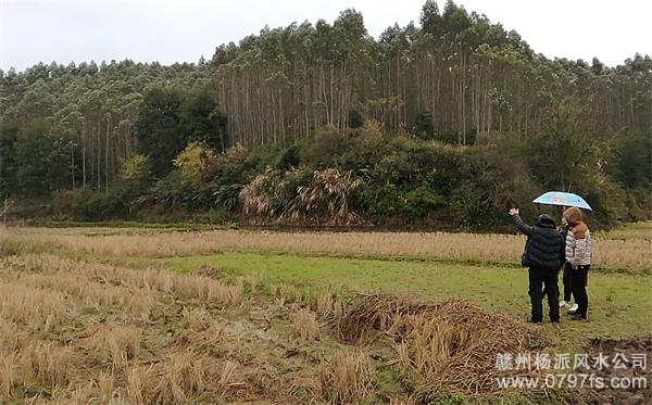 云南陈老师带着爱徒寻龙点穴